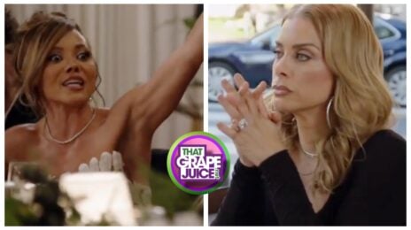 TV Trailer: ‘Real Housewives of Potomac’ [Season 11 / Episode 3]