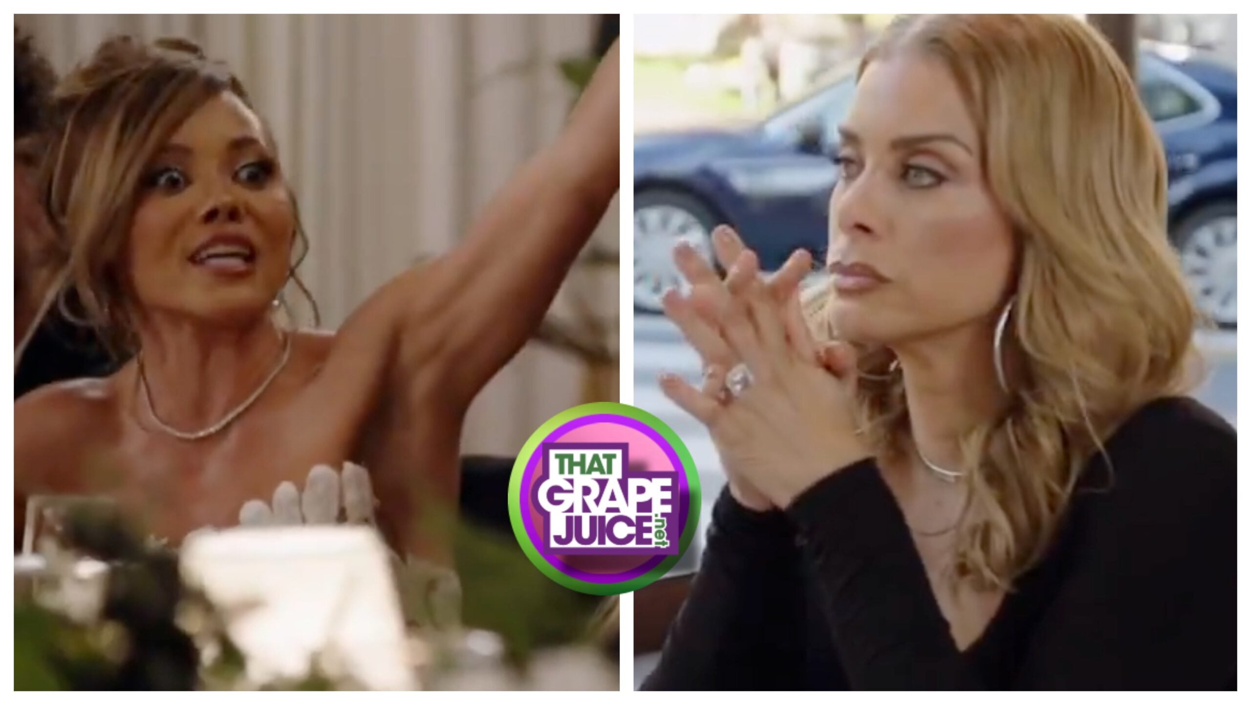 TV Trailer: ‘Real Housewives of Potomac’ [Season 11 / Episode 3]